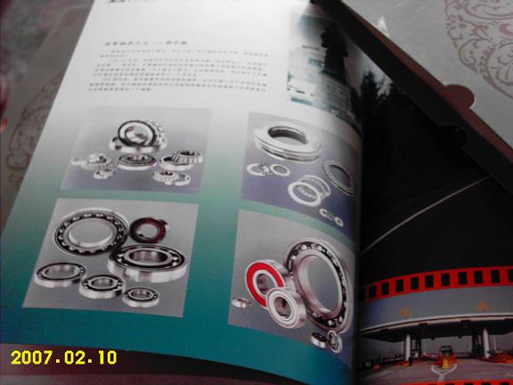 dvubb 按此在新窗口浏览图片